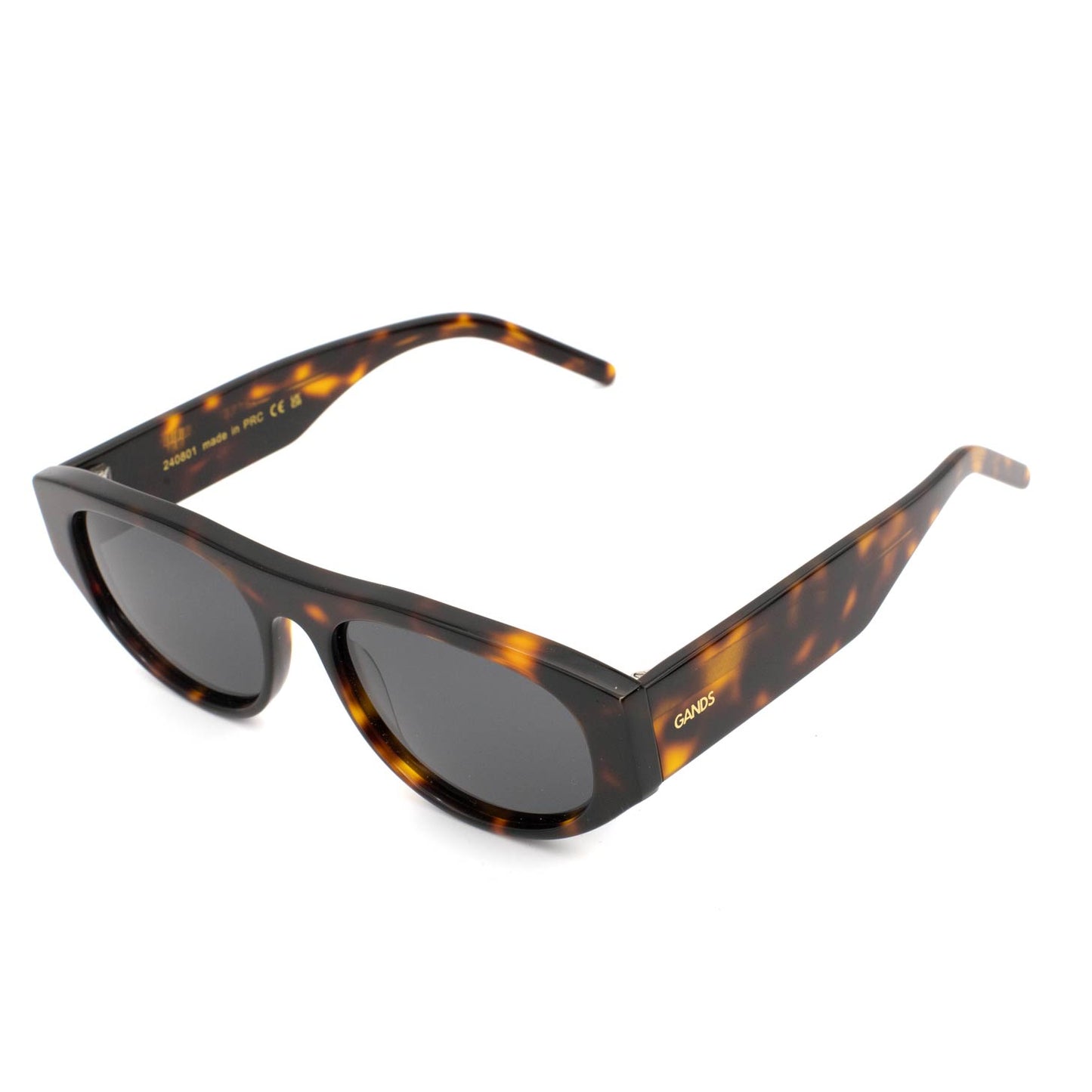 PARIJS | SCHILDPAD
