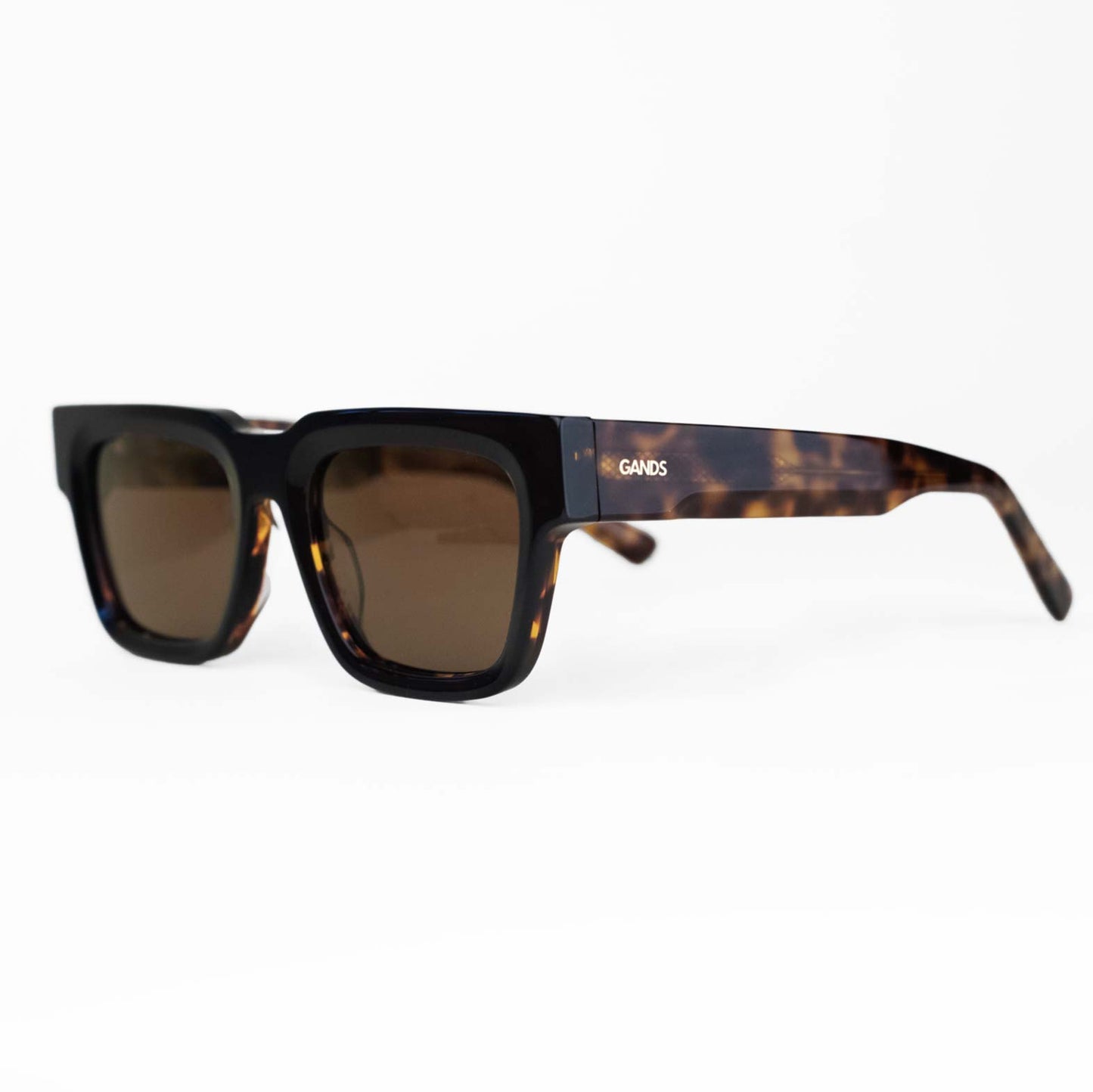 MARRAKESH | TORTOISE