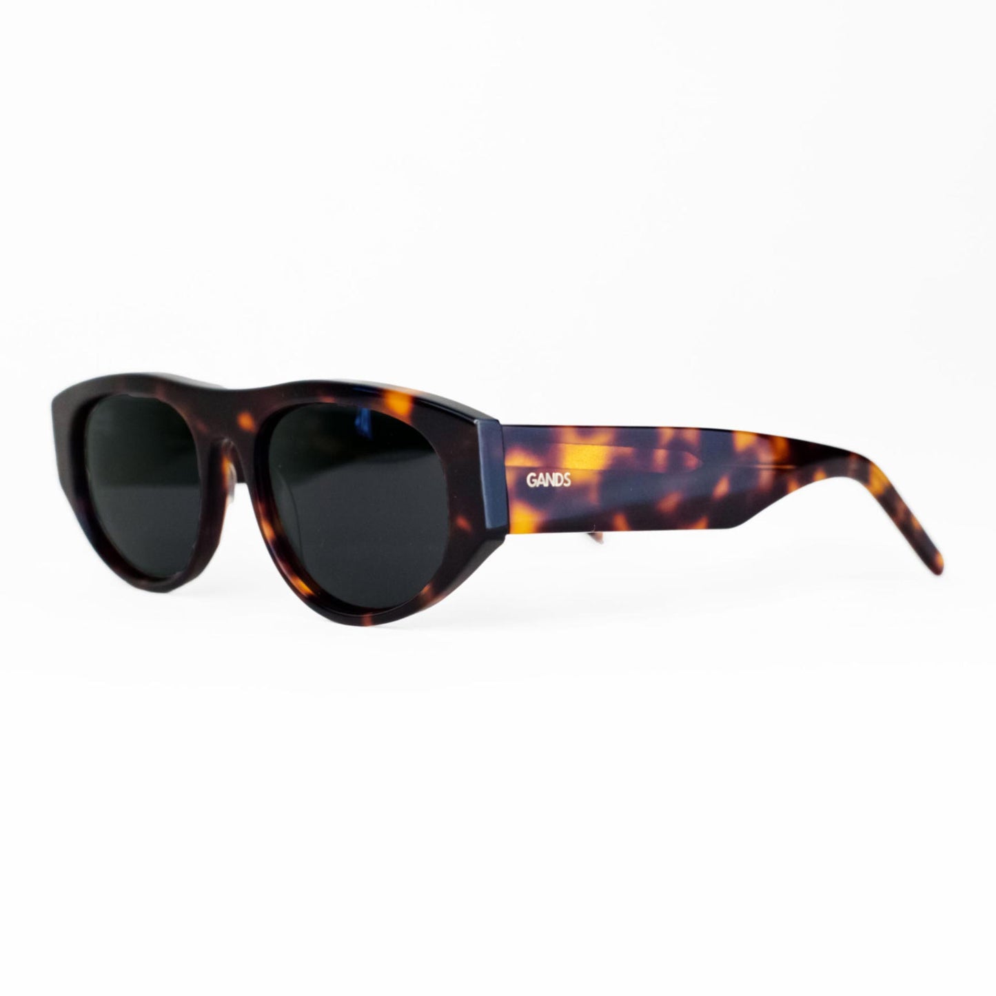 PARIJS | SCHILDPAD